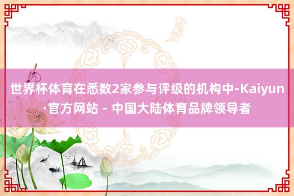 世界杯体育在悉数2家参与评级的机构中-Kaiyun·官方网站 - 中国大陆体育品牌领导者