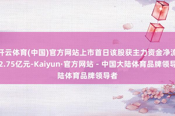 开云体育(中国)官方网站上市首日该股获主力资金净流入2.75亿元-Kaiyun·官方网站 - 中国大陆体育品牌领导者
