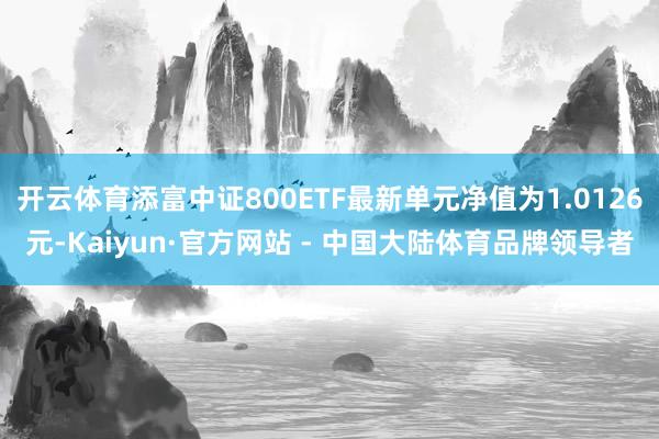 开云体育添富中证800ETF最新单元净值为1.0126元-Kaiyun·官方网站 - 中国大陆体育品牌领导者