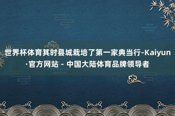 世界杯体育其时县城栽培了第一家典当行-Kaiyun·官方网站 - 中国大陆体育品牌领导者