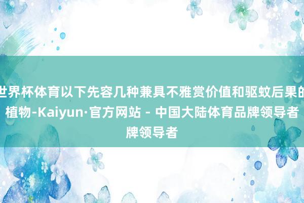 世界杯体育以下先容几种兼具不雅赏价值和驱蚊后果的植物-Kaiyun·官方网站 - 中国大陆体育品牌领导者