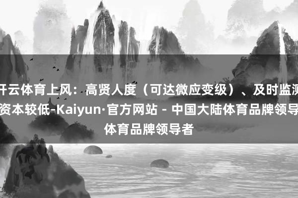 开云体育上风:高贤人度(可达微应变级)、及时监测、资本较低-Kaiyun·官方网站 - 中国大陆体育品牌领导者