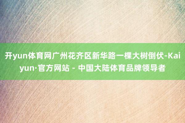 开yun体育网广州花齐区新华路一棵大树倒伏-Kaiyun·官方网站 - 中国大陆体育品牌领导者